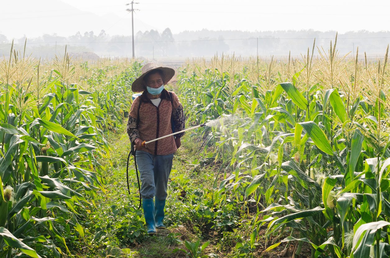 PESTICIDE USE IN CHINA