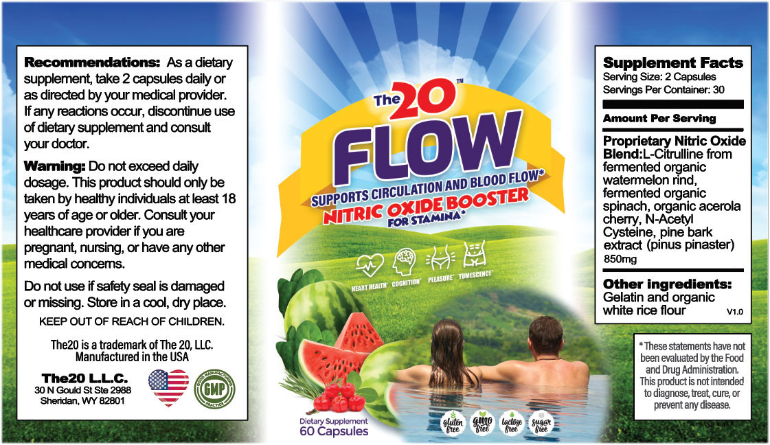 The 20 FLOW Nitric Oxide Booster ingredients